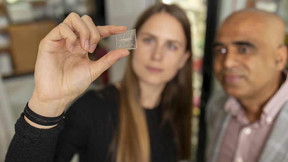 Person holding a small transparent microchip between fingers, with another individual standing nearby in a laboratory setting.