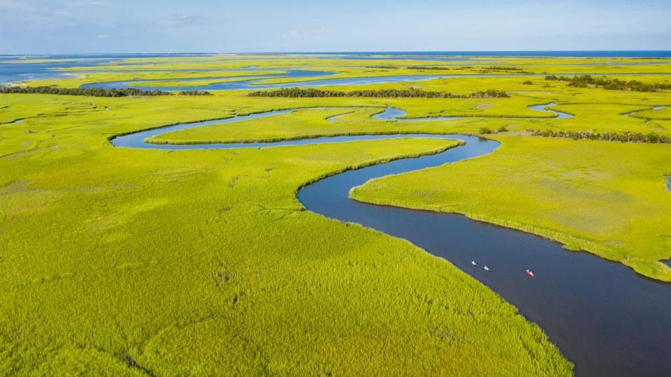 Vibrant 'Spartina alterniflora' salt marsh grass wraps the oxbow of a tidal waterway. (Credit: Bald Head Island Conservancy)