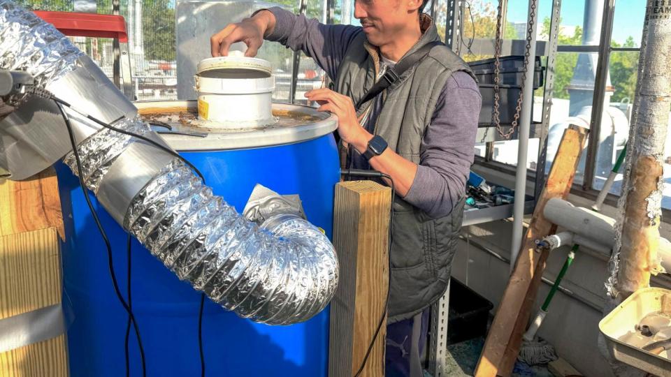 Researcher standing in a greenhouse-like structure adjusts a blue barrel–based composting system equipped with insulated tubing, used for black soldier fly larvae composting.