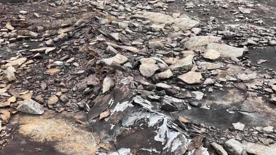 July 2023: A long line of scattered rocks indicate a fresh fault in the outcrop within the Davidson-Arabia Mountain Nature Preserve. (Photo: Arabia Mountain National Heritage Area)