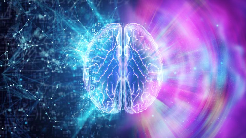 Digital illustration of a brain surrounded by two distinct visual patterns. One side is composed of structured blue connections resembling an organized network map, while the other features colorful, dispersed light patterns, representing distributed neural activity. The image symbolizes competing brain architectures explored in the study.