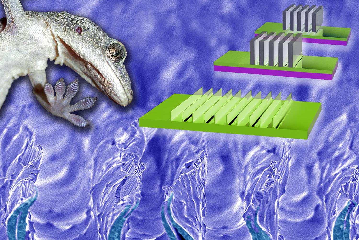 Newswise: Surfaces That Grip Like Gecko Feet Could Be Easily Mass-Produced
