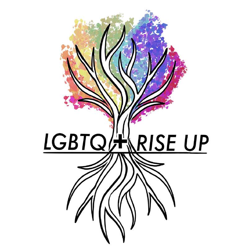 LGBTQ+RISE UP project graphic