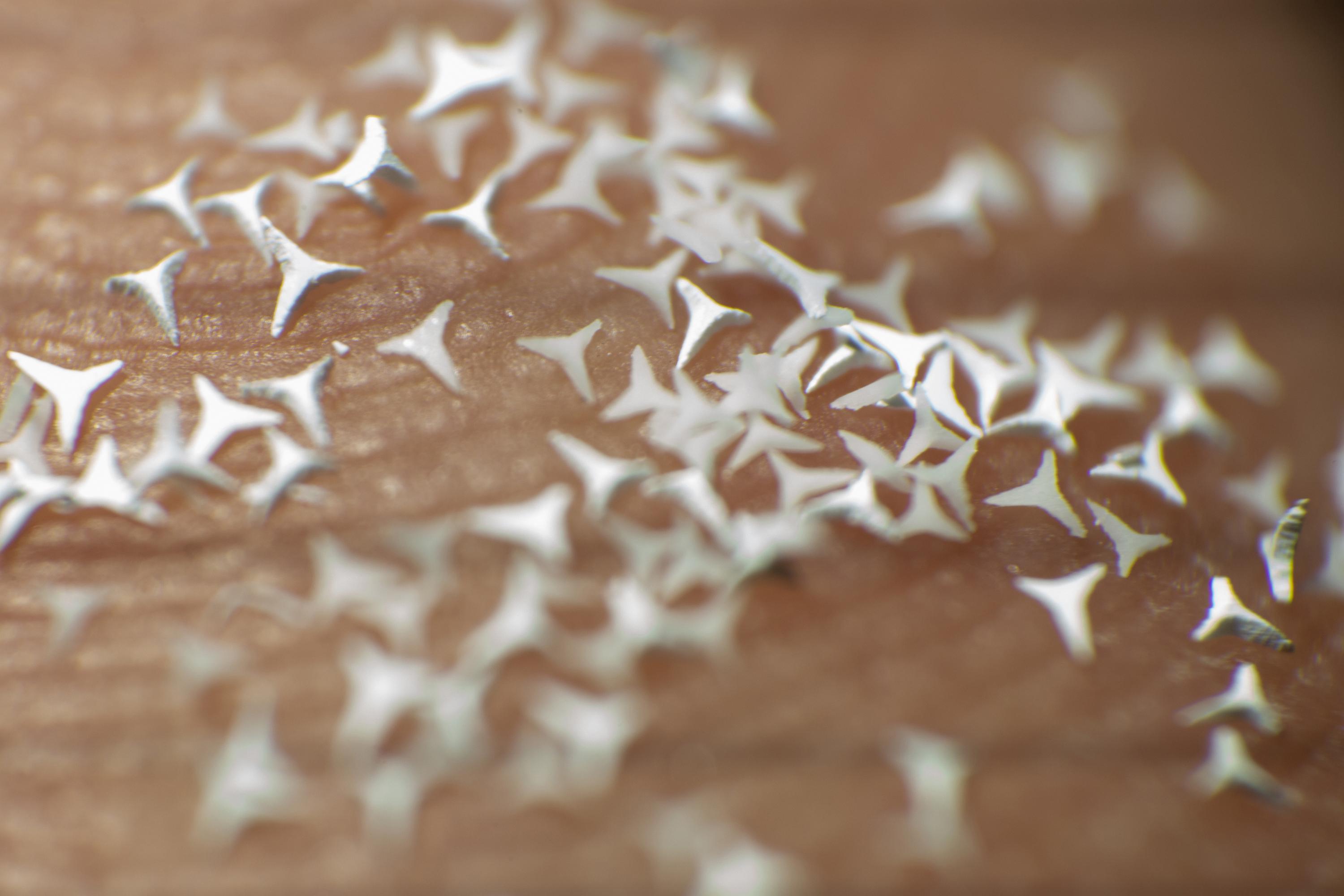 Newswise: Microscopic STAR Particles Offer New Potential Treatment for Skin Diseases