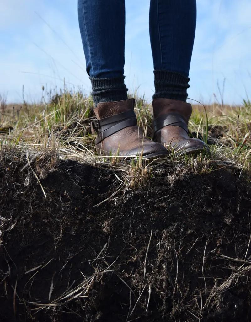 Newswise: https://research.gatech.edu/sites/default/files/styles/news_first_image/public/hg_media/islay-peat-bog-roots.jpg