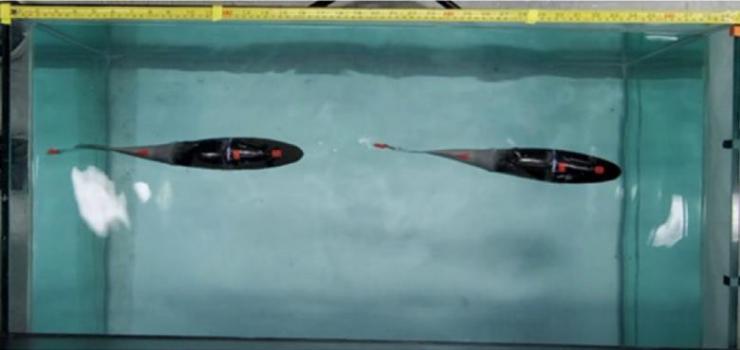 <div>
<p>Piezoelectric robot trout swims like a real fish</p>
</div>