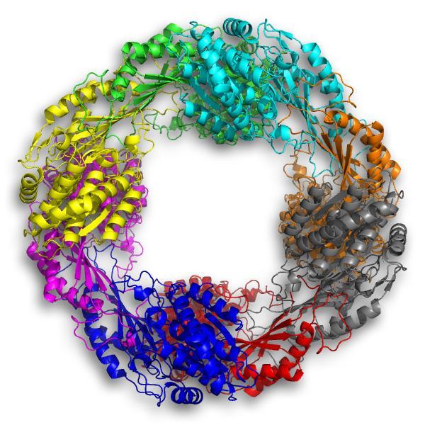 <p>A bacterial warrior the only one of its kind? This enzyme is "wacko" in many ways in its breakdown of a poison related to TNT. On top of that, 5NAA-A is known so far only to exist in a single living organism on Earth. Could it be the lone master of a rare bacterial enzymatic kung fu, in the war on potatoes? Or does a genomic clue point to its existence in one other solitary case?</p>