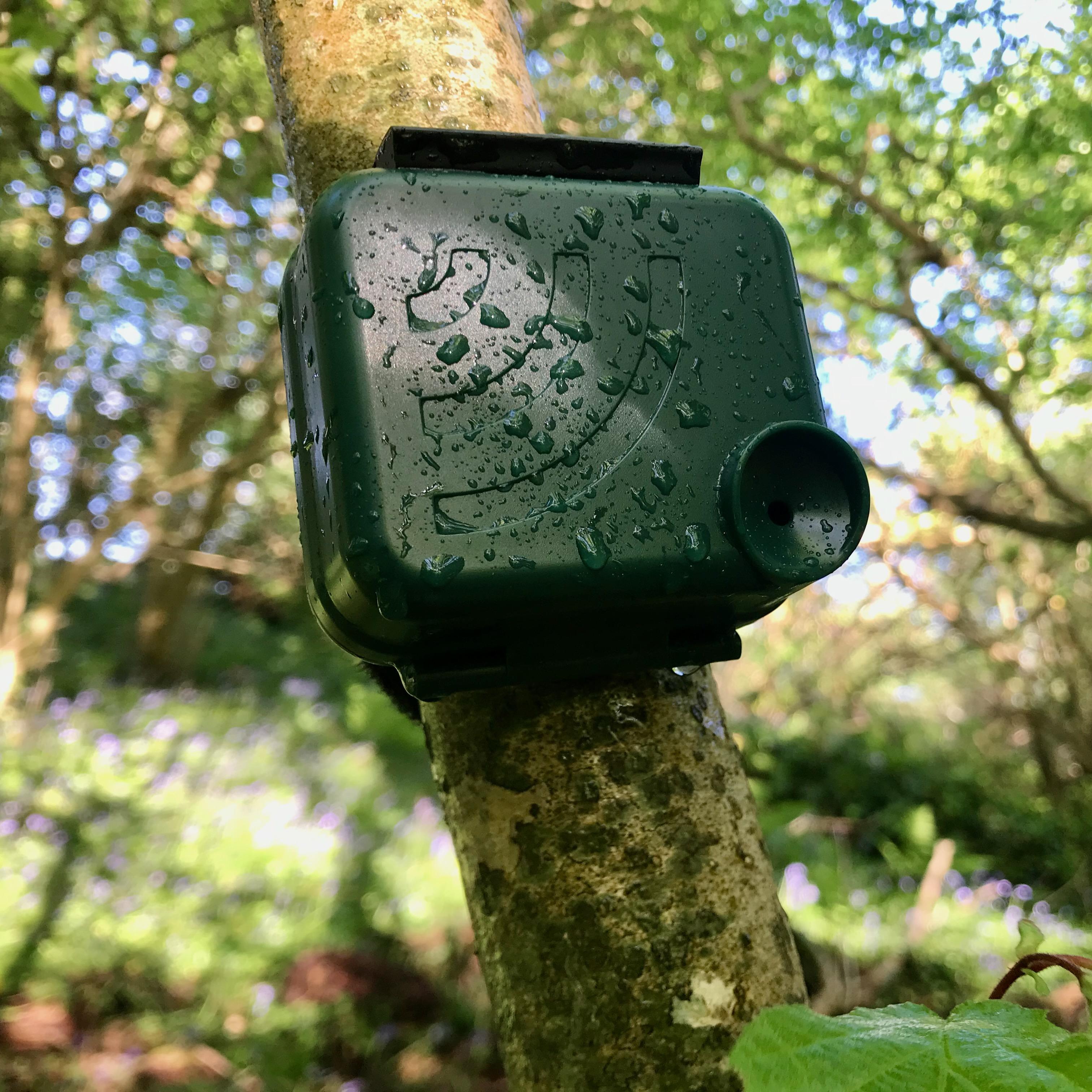audiomoth device in tree 