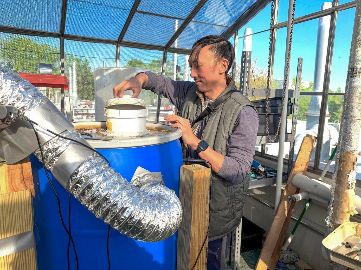 Researcher standing in a greenhouse-like structure adjusts a blue barrel–based composting system equipped with insulated tubing, used for black soldier fly larvae composting.