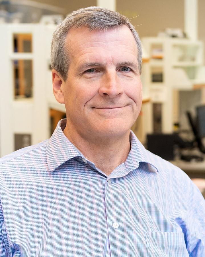 <p><strong>Paul Benkeser</strong>, professor and senior associate chair in the Wallace H. Coulter Department of Biomedical Engineering</p>
