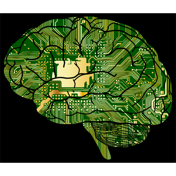 New Research Applies Theoretical Computer Science to the Brain