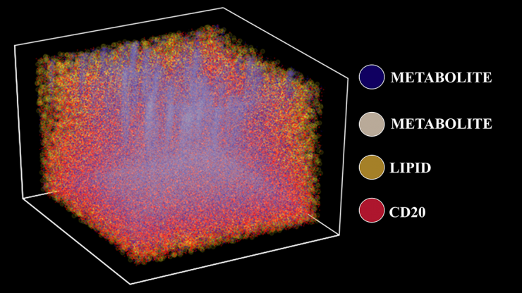 <p>Three-dimensional molecular map of a tonsil using TOF-SIMS, a 3D chemical imaging technique that visualizes metabolic and cellular profiles of more than 190 compounds from a human tissue sample. The plot depicts four distinct chemical and protein signatures — lipids, metabolites, and isotope-labeled cells (CD20). (Image Courtesy: Ahmet Coskun)</p>