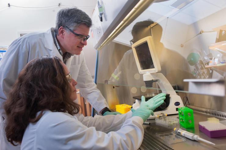 <p>Andrés García, a Regents’ Professor in the Woodruff School of Mechanical Engineering at the Georgia Institute of Technology and Jessica Weaver, a Georgia Tech postdoctoral researcher, discuss pancreatic islet cells being studied in their laboratory. (Credit: Christopher Moore, Georgia Tech)</p>