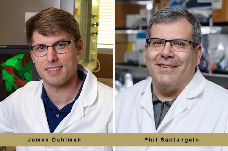 <p><strong>Phil Santangelo </strong>(pictured right), professor, and <strong>James Dahlman </strong>(pictured left) assistant professor, in the Wallace H. Coulter Department of Biomedical Engineering at Georgia Tech and Emory University.</p>
