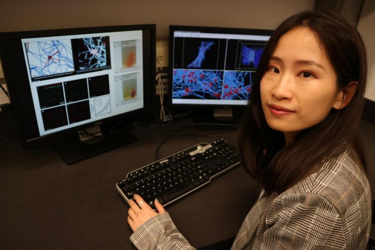 <p>First author Yueyi Sun inside Georgia Tech’s Complex Fluids Modeling and Simulation Lab, where she compares the experimental and simulated platelet-driven fibrin clot contraction process. (Photo Credit: Alexander Alexeev, Georgia Tech)<br />
 </p>