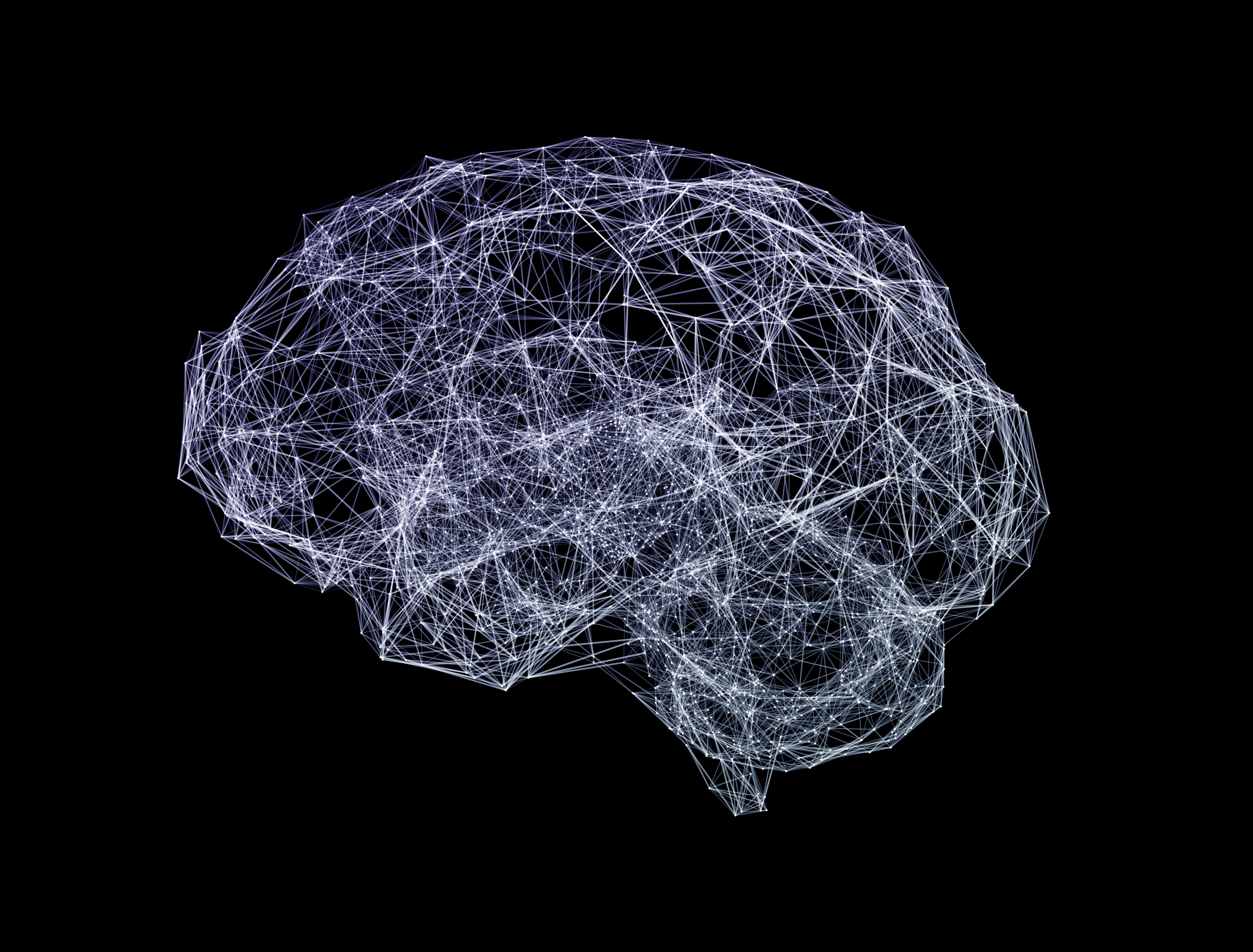 Brain network