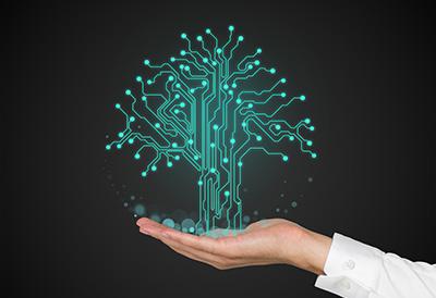 Graphic of a tree of data growing from a hand