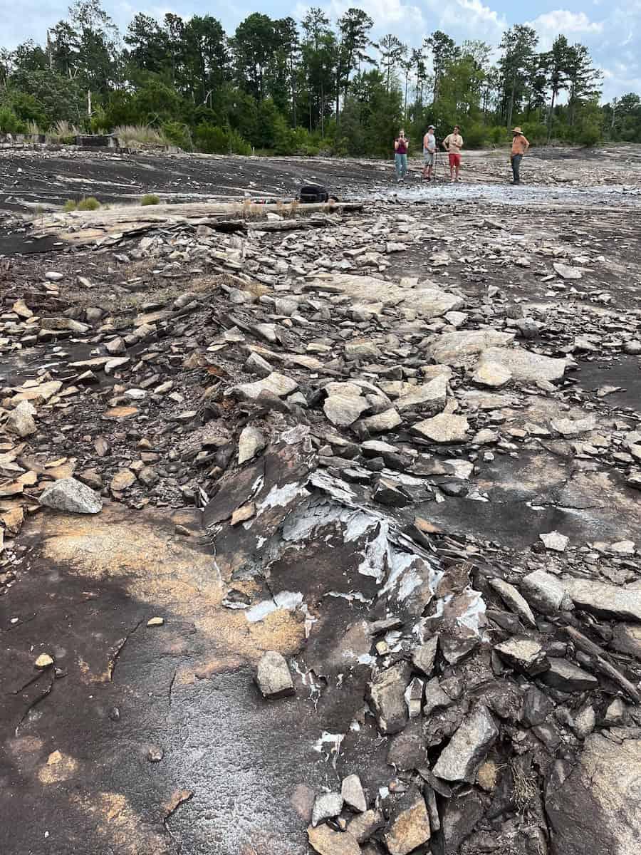 July 2023: A long line of scattered rocks indicate a fresh fault in the outcrop within the Davidson-Arabia Mountain Nature Preserve. (Photo: Arabia Mountain National Heritage Area)