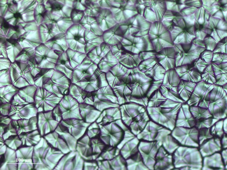 <p>Optical micrograph of perovskite crystal grains crafted by meniscus-assisted solution printing. (Image courtesy of Ming He, Georgia Tech)</p>