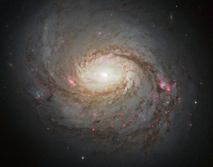neurtrino galaxy