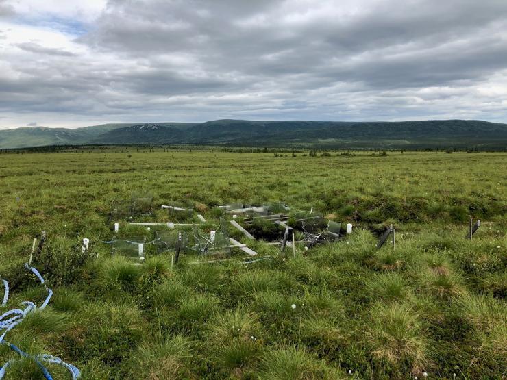 <p>Test plots were used by researchers to study the effects of warming on microbial communities in the interior Alaskan landscape. (Photo: Professor Ted Schuur, Northern Arizona University)</p>