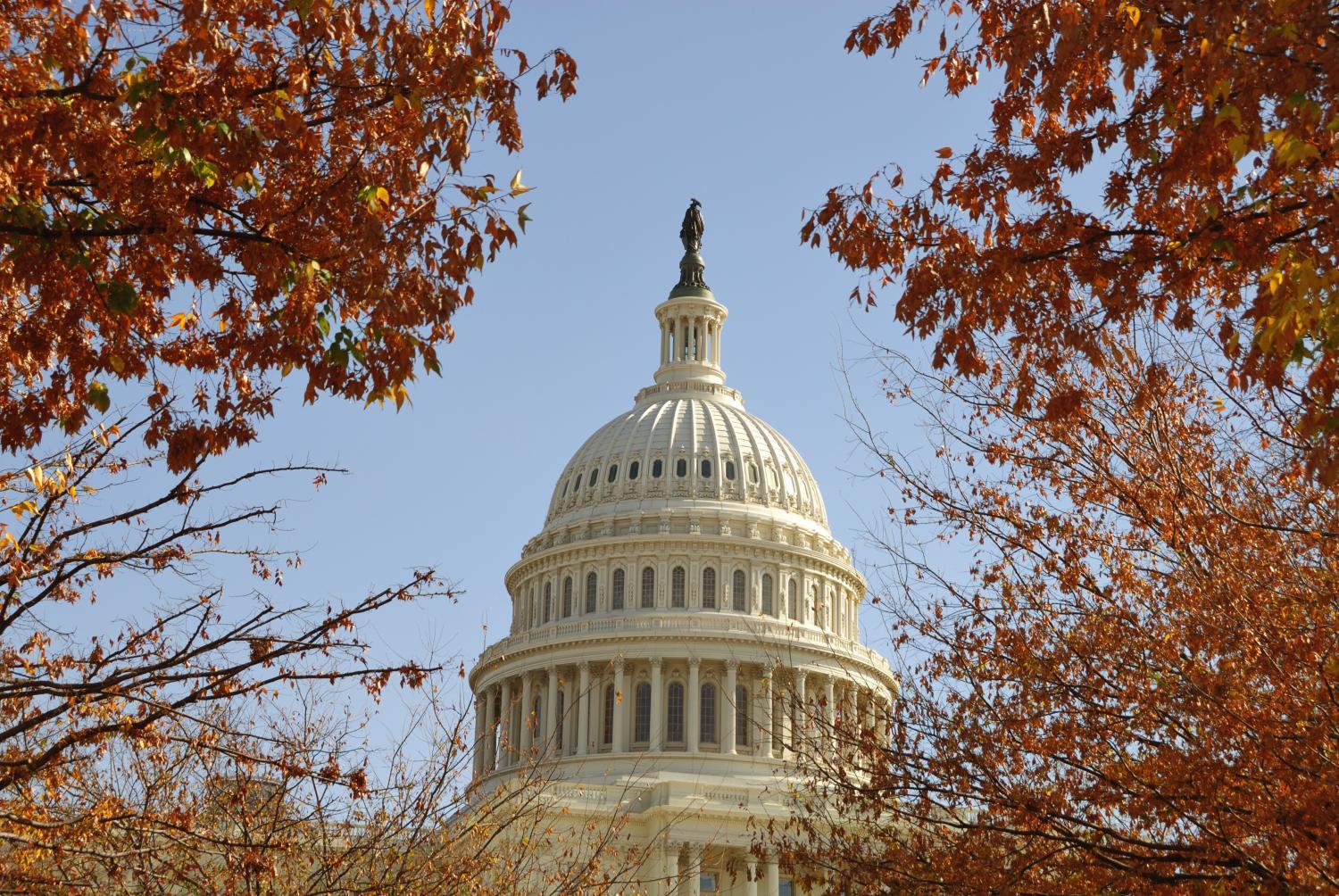 Photo of the U.S. Capital Building in the fall. 