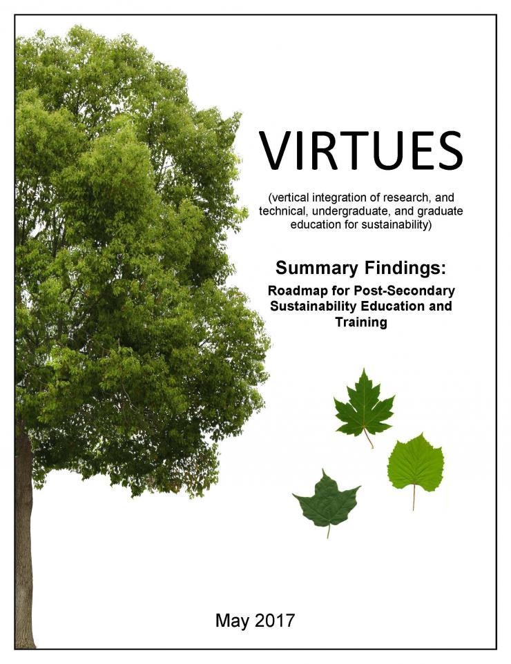 <p>Cover image of the VIRTUES Summary Findings report.</p>