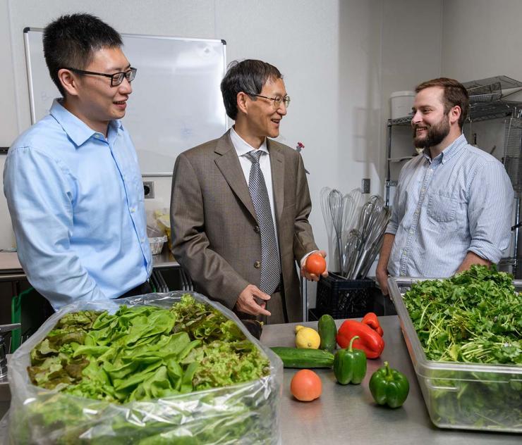 <p>Post-doctoral fellow Bopeng Zhang, Professor Yongsheng Chen and graduate research assistant Thomas Igou from the School of Civil and Environmental Engineering will pilot a project to use wastewater nutrients to grow lettuce, tomatoes and other fruits and vegetables. </p><p> </p>