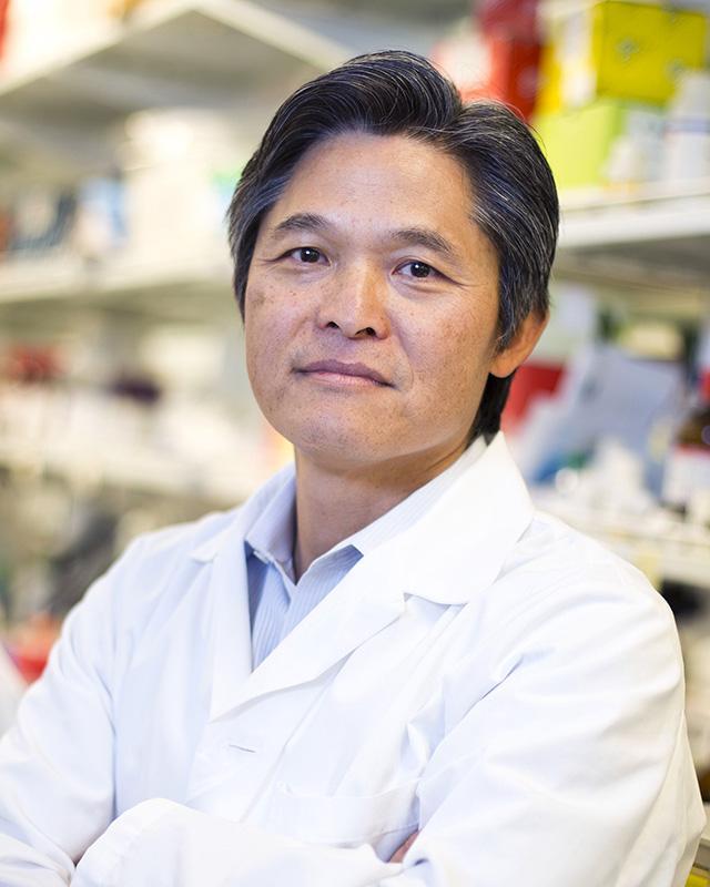 <p><strong>Hanjoong Jo</strong>, professor in the Wallace H. Coulter Department of Biomedical Engineering at Georgia Tech and Emory, and a professor of medicine at Emory, has just added a new title with his appointment as the <strong>Wallace H. Coulter Distinguished Faculty Chair</strong>.</p>