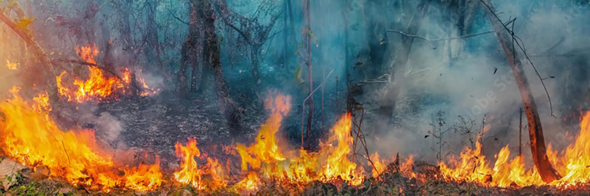 Fires have been burning in Africa for centuries. The fires are fueled by feedback loop as aerosols interact with the climate. It’s a process that plays a critical role in the regulation of African ecosystems.