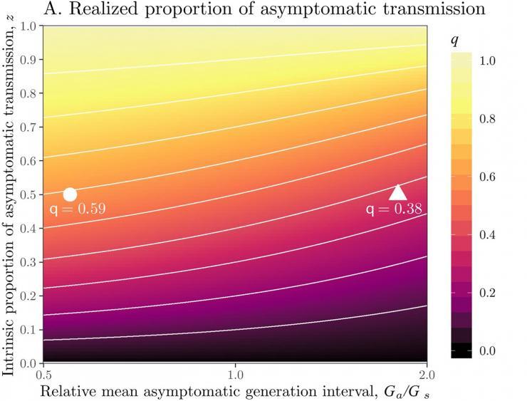 <p>Chart shows the realized proportion of asymptomatic transmission of the coronavirus.</p>