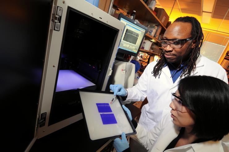 <p>Georgia Tech/Emory University biomedical engineering associate professor Manu Platt (standing) and graduate student Keon-Young Park examine gels that display the activity levels of cathepsins, which are protein-degrading enzymes. In a new study, the researchers are studying levels of cathepsins and other signaling chemicals in an effort to predict the invasiveness of breast cancer in individual patients. (Credit: Gary Meek, Georgia Tech)</p>