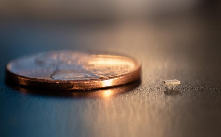 <p>A micro-bristle-bot is shown next to a U.S. penny for size comparison. (Photo: Allison Carter)</p>