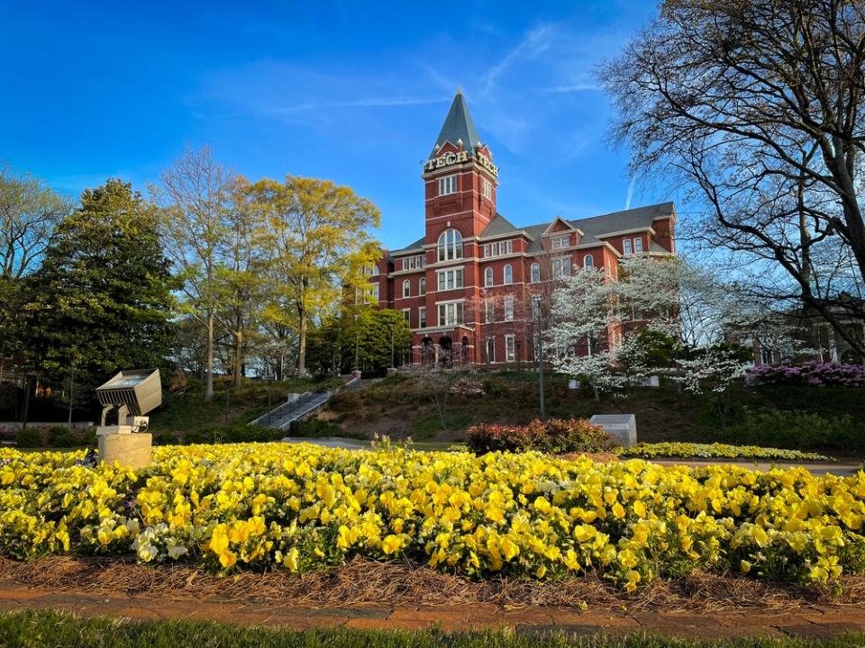 campus in bloom