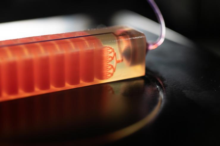 <p>A 3D-printed cell trap developed in the laboratory of Georgia Tech Assistant Professor A. Fatih Sarioglu captures blood cells to isolate tumor cells from a blood sample. (Photo: Allison Carter, Georgia Tech)</p>