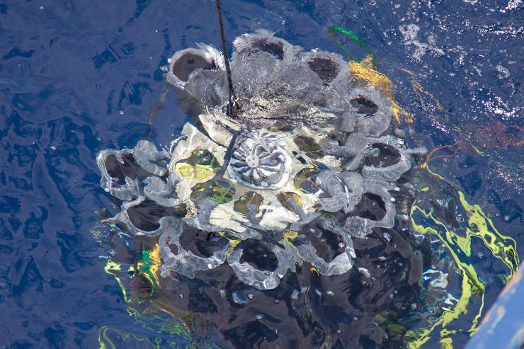 <p>A submerged carrousel of collector tubes begins its descent to the oxygen minimum zone off of Mexico's Pacific coast. Credit: Dr. Heather Olins</p>