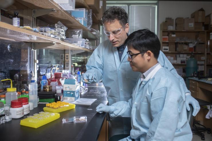 <p>Regents Professor Mark Prausnitz and postdoctoral research scholar Wei Li examine an experimental microneedle contraceptive skin patch. Designed to be self-administered by women for long-acting contraception, the patch could provide a new family planning option. (Credit: Christopher Moore, Georgia Tech)</p>