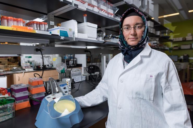 <p>Georgia Tech researcher Havva Keskin observes the frequencies of RNA-templated DNA repair in yeast cells. (Credit: Rob Felt, Georgia Tech)</p>

<p> </p>