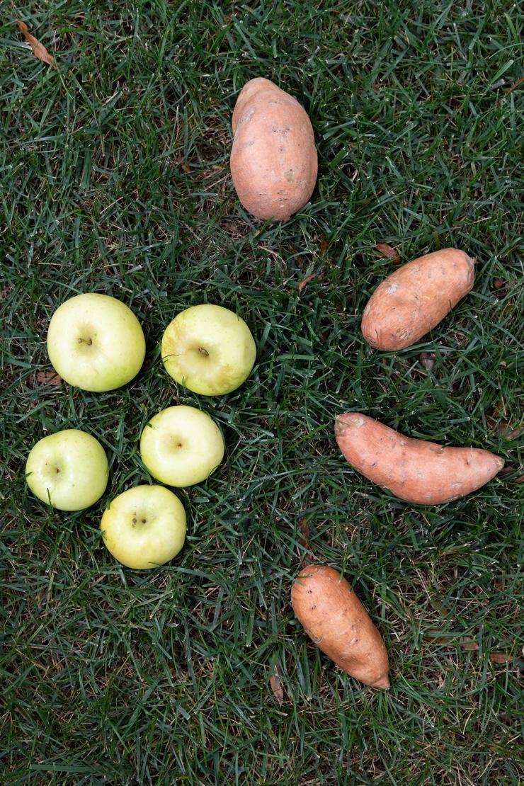 <p>Apples and sweet potatoes were both in season during the September share.<br />
Photo by Allison Carter</p>