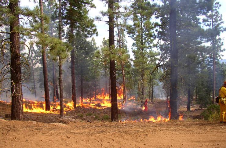 Protecting Rural Schoolchildren from Prescribed Fire Emissions