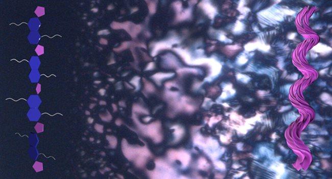 共役ポリマーに自発的キラリティーを発見（Researchers Discover Spontaneous Chirality in Conjugated Polymers）