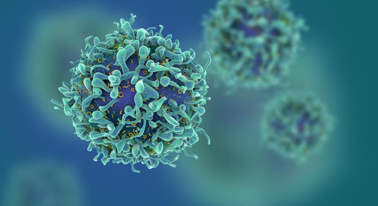 <p>iStock artist's rendering of a cancer cell. Purchased for use by Georgia Tech only. Use outside of Georgia Tech requires separate purchase from iStock. Credit: iStock </p>