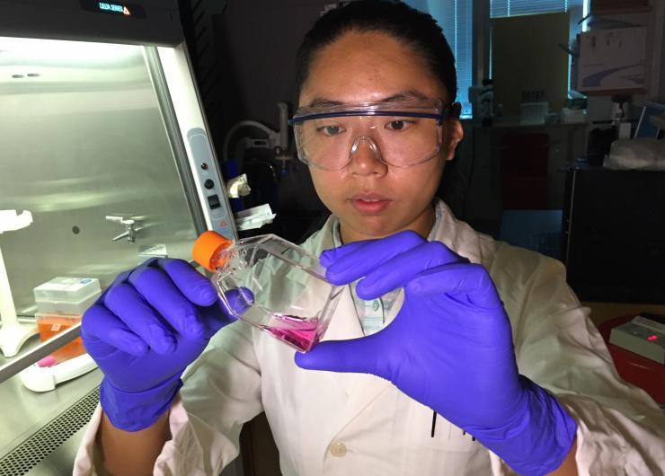<p>Georgia Tech Graduate Research Assistant Mengnan Zhang examines a solution containing pancreatic cancer cells. The research examined the role of microRNA molecules in controlling resistance to chemotherapy drugs. (Credit: John Toon, Georgia Tech)</p>