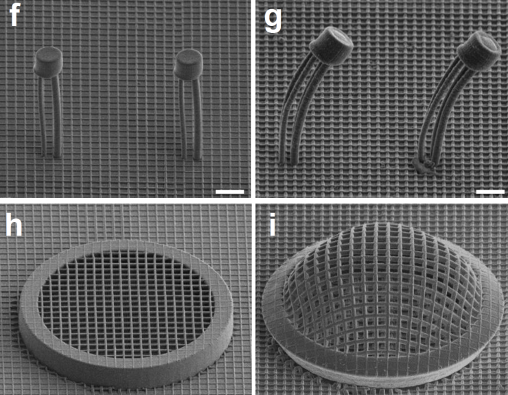 <p>Structures in a new architected material change shape when a very low current is applied. Left is before current is applied, right is after. Credit: CalTech</p>