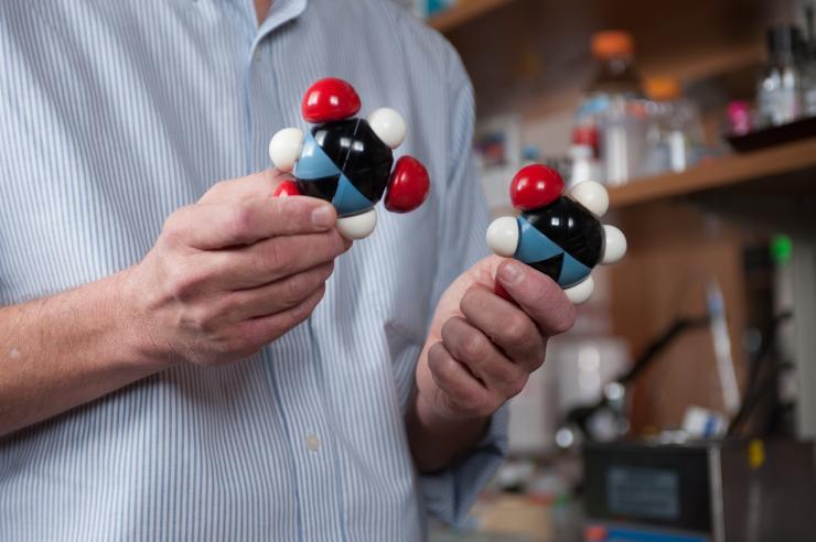 <p>Nearly twins and possibly keys to a unlocking the mystery of the evolution of life-coding molecules. Nicholas Hud holds up Uracil, on the right, a nucleobase of RNA. Barbituric acid, on the left, looks very much like it and could have been part of a proto-RNA that preceded RNA. </p>