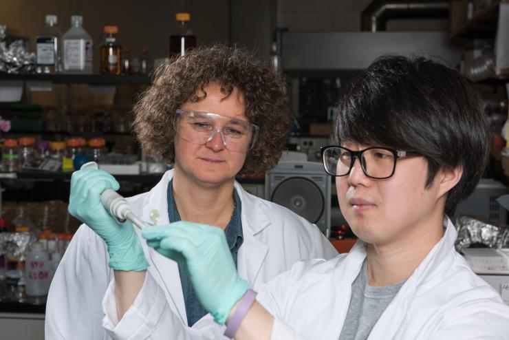 <p>Georgia Tech Associate Professor Francesca Storici (left), Graduate Student Kyung Duk Koh and collaborators have developed and tested ribose-seq, a technique for identifying ribonucleotides in genomic DNA. (Credit: Rob Felt)</p>