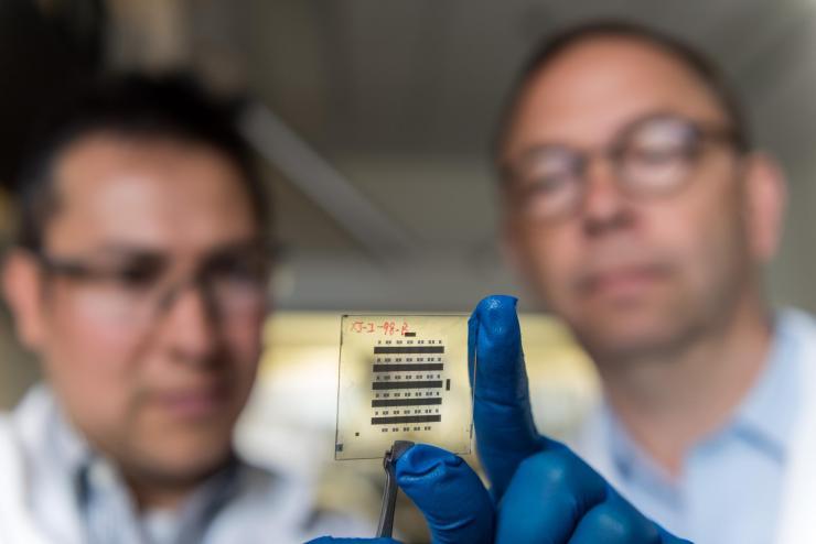 <p>Georgia Tech Senior Research Scientist Canek Fuentes-Hernandez (left) and Professor Bernard Kippelen examine a sample of organic thin-film transistors created with a new nanostructured gate dielectric that gives the devices unprecedented stability. (Credit: Rob Felt, Georgia Tech)</p>