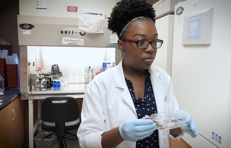 <p>Yasmine Stewart, a biology major from Savannah State University, worked in the laboratory of Lohitash Karumbaiah, assistant professor in the College of Agricultural &amp; and Environmental Sciences at the University of Georgia. (Credit: Brice Zimmerman, Georgia Tech)</p>