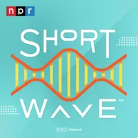 NPR Short Wave