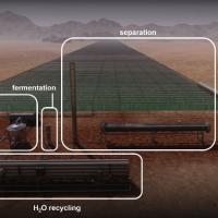 The production of a Martian biofuel from CO2 involves four modules: algae cultivation to convert CO2 to glucose, algae processing to release the stored glucose from the algal biomass, fermentation to convert glucose to the desired biofuel and separation of the biofuel for burning in a Mars ascent vehicle (MAV). Other key parts of the process include H2O recycling to maximize the use of limited Martian water and O2 storage to capture excess photosynthetic oxygen for redistribution to other parts of a Martian